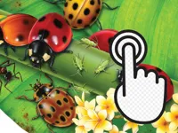 image bg Ladybug Clicker