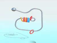 image bg Ring It Off