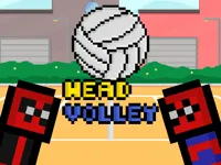 image bg Head Volley