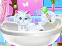 Excellent Pet Groomer image