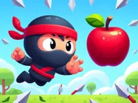image bg Flip Ninja