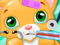 image bg Kitty Doctor
