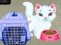 Baby Taylor Pet Care - Save Cute Animals image