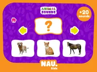Animal Sounds image
