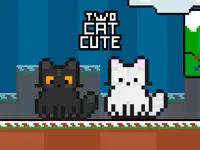 image bg Two Cat Cute