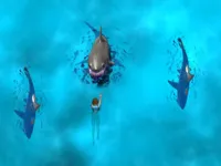 Avoid the Sharks image