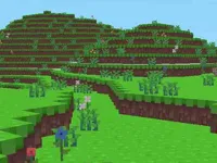 Block Craft image