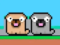 Friends Pug image